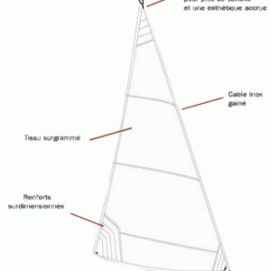 FOC BIZZU COMPATIBLE