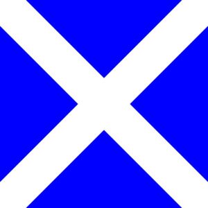 PAVILLON COMITE 40X60CM M