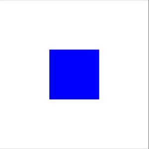 PAVILLON COMITE 40X60CM S